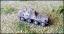 SdKfz 234/2 Puma Recon 8 Wheel G52