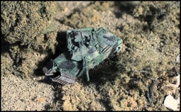 M1A2 "ABRAMS" Panzer mit Minenräumgerät N132